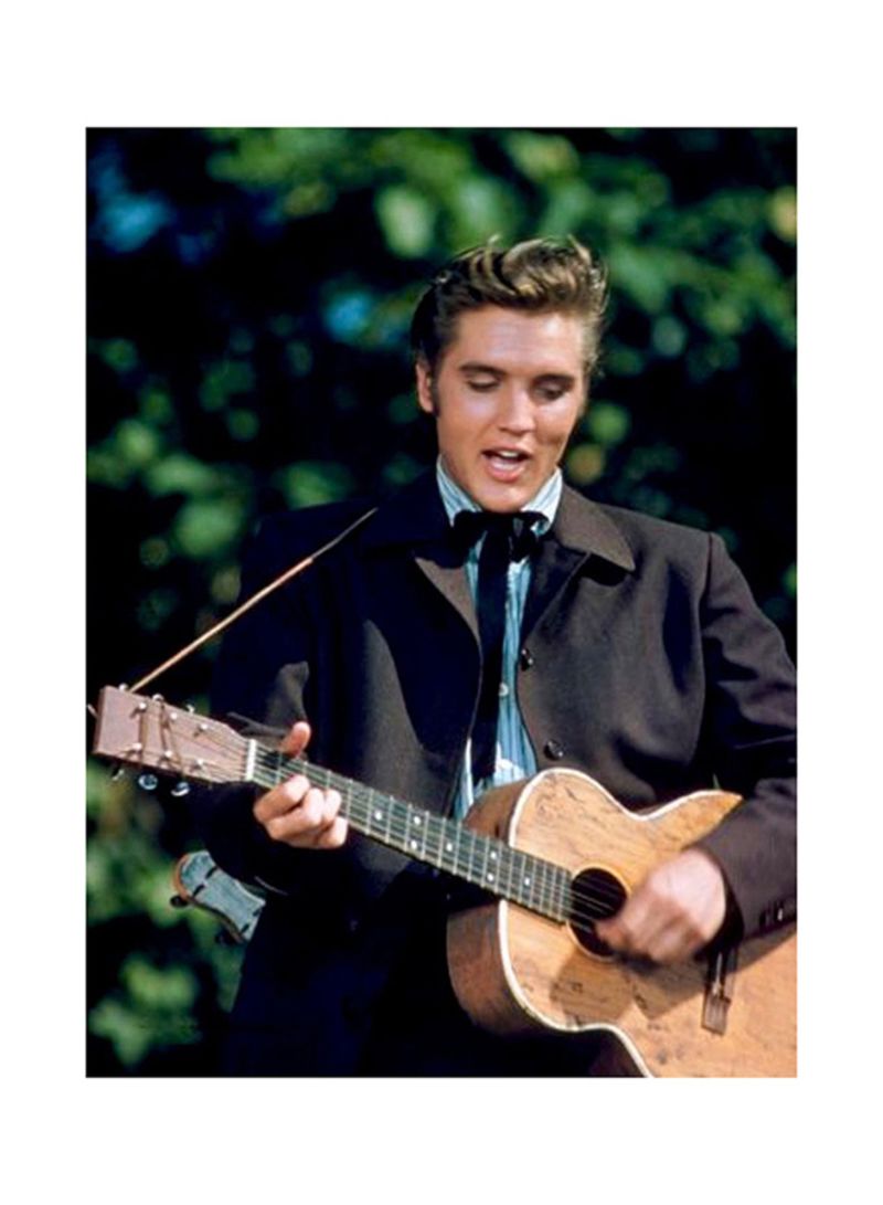 Elvis Presley , HD Wallpaper & Backgrounds