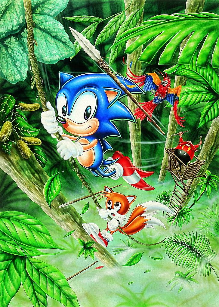 Sonic The Hedgehog Video Games Sega Genesis Retro Games - Sonic 2 Jungle Zone , HD Wallpaper & Backgrounds
