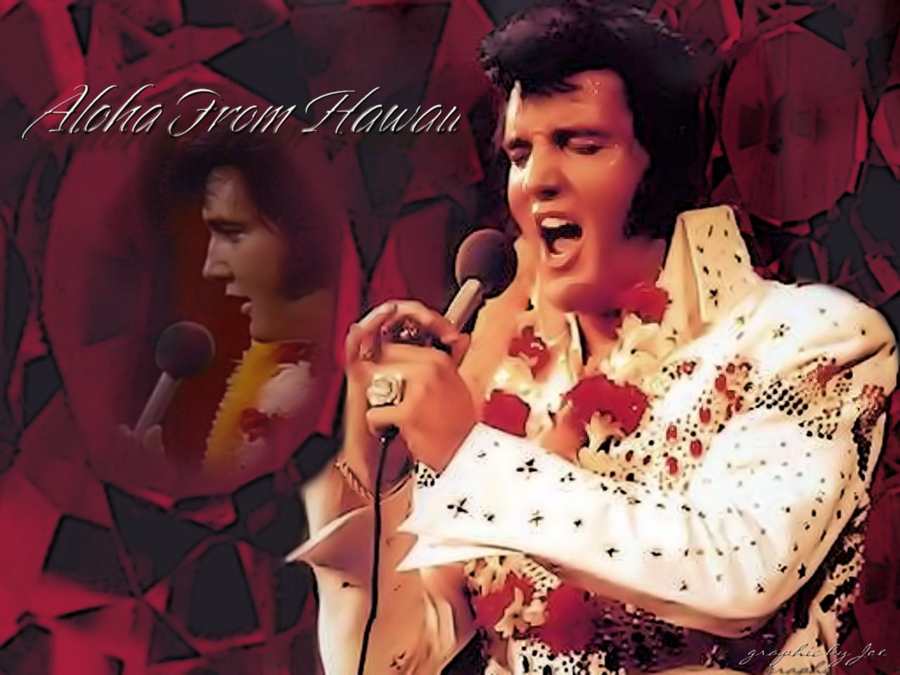 Elvis Presley Wallpaper - Elvis Presley Elvis Fool , HD Wallpaper & Backgrounds