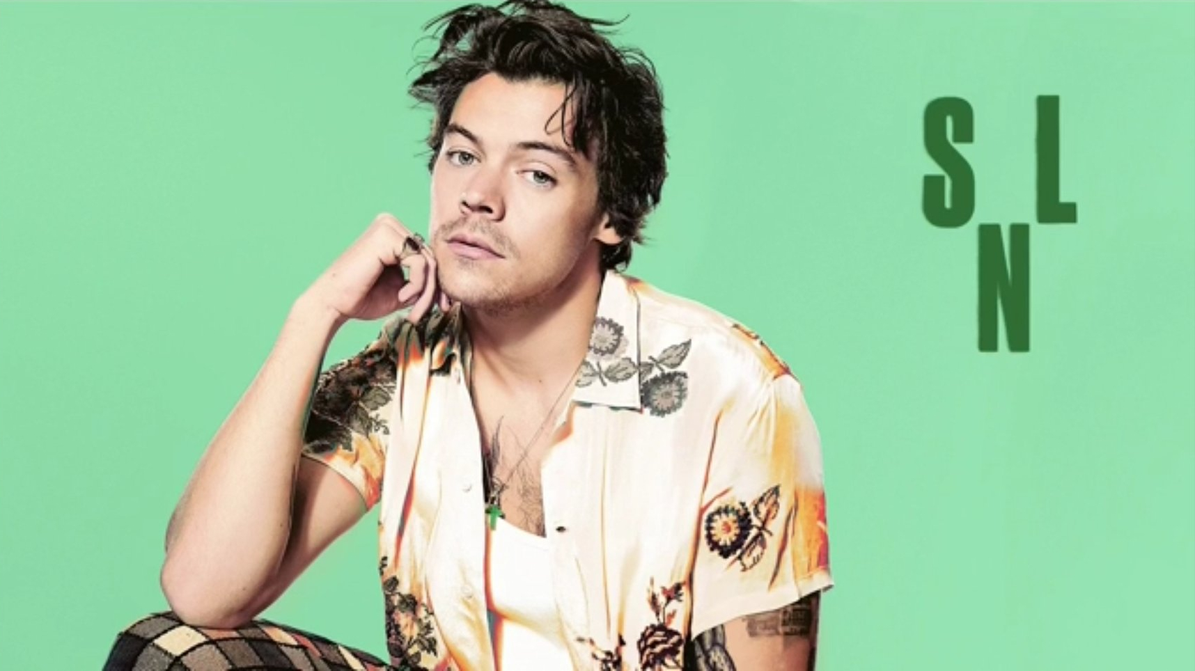 Snl Promo - Harry Styles Snl 2019 , HD Wallpaper & Backgrounds