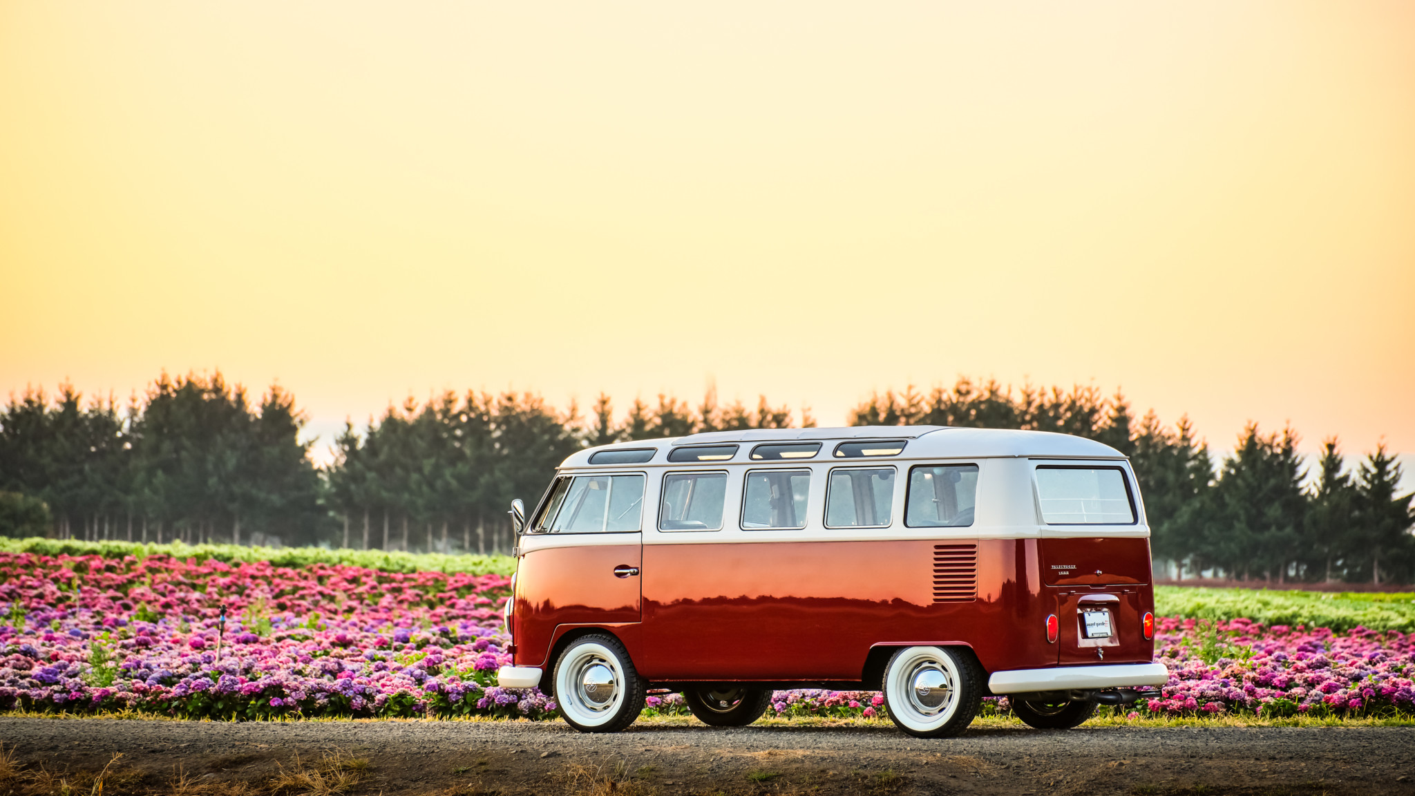 Vehicles Volkswagen Type 2 Bus Volkswagen Old Car Hd - Volkswagen Type 2 , HD Wallpaper & Backgrounds