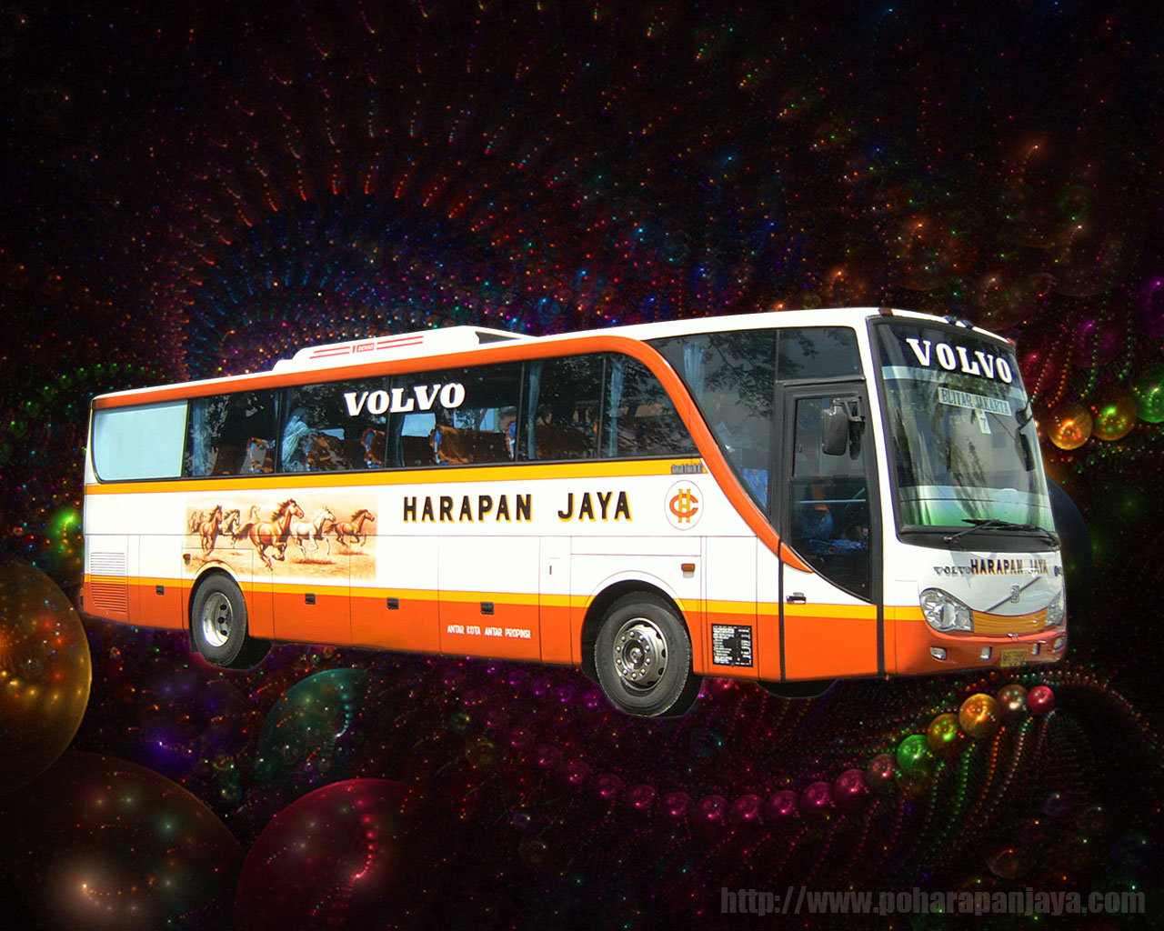 Tour Bus Service , HD Wallpaper & Backgrounds