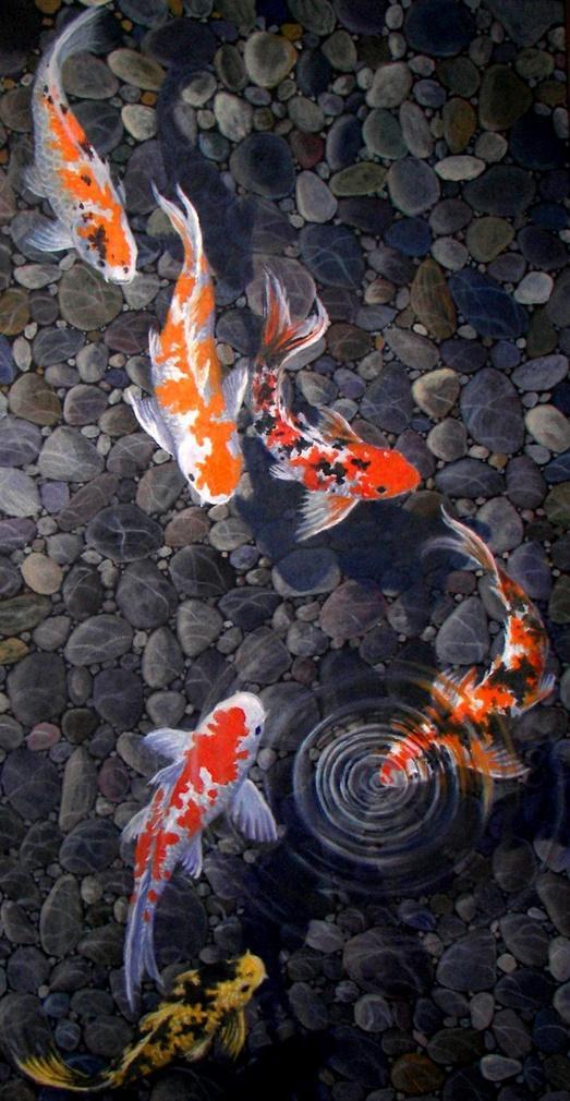 Koi Live Wallpaper 4k Hd For Android Apk Download - Koi Pond By Gene Gregorio , HD Wallpaper & Backgrounds