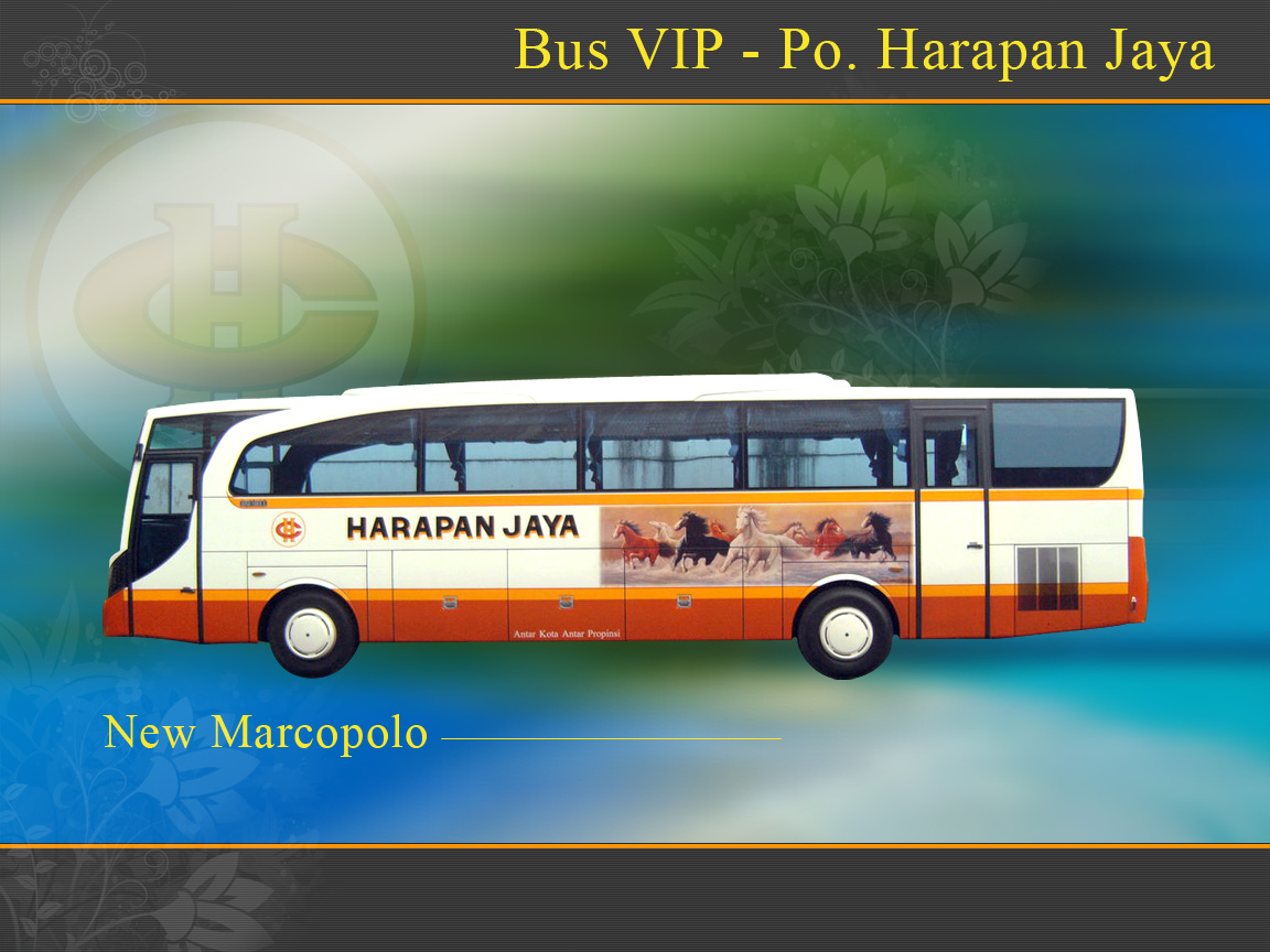 Bus , HD Wallpaper & Backgrounds