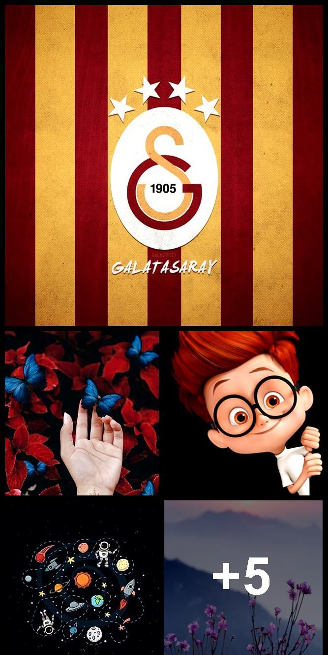 Galatasaray Amblemi , HD Wallpaper & Backgrounds