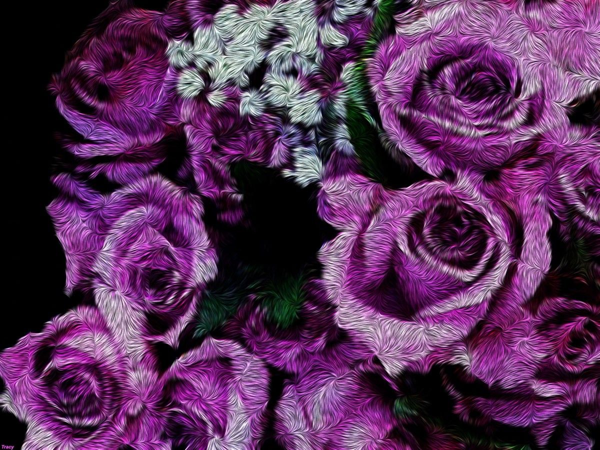 Rose Happy Valentines Day Purple , HD Wallpaper & Backgrounds