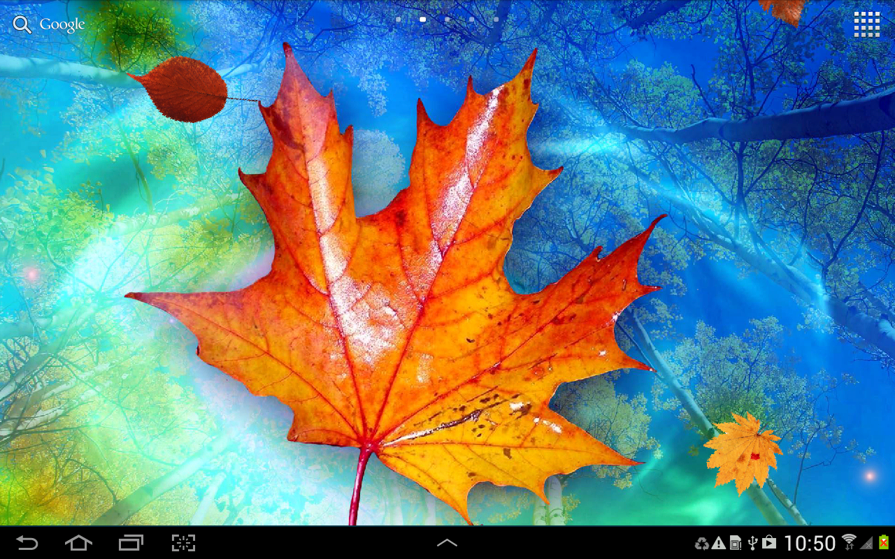 Live Leaf , HD Wallpaper & Backgrounds