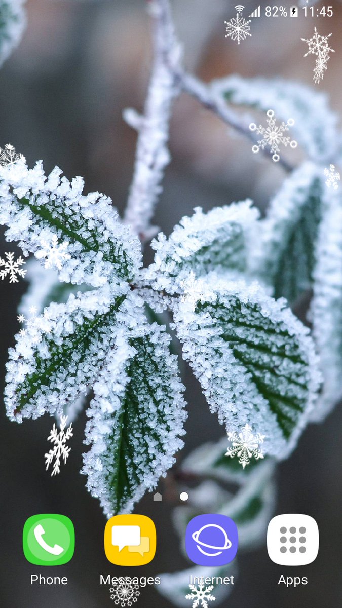 Freezing Plants , HD Wallpaper & Backgrounds