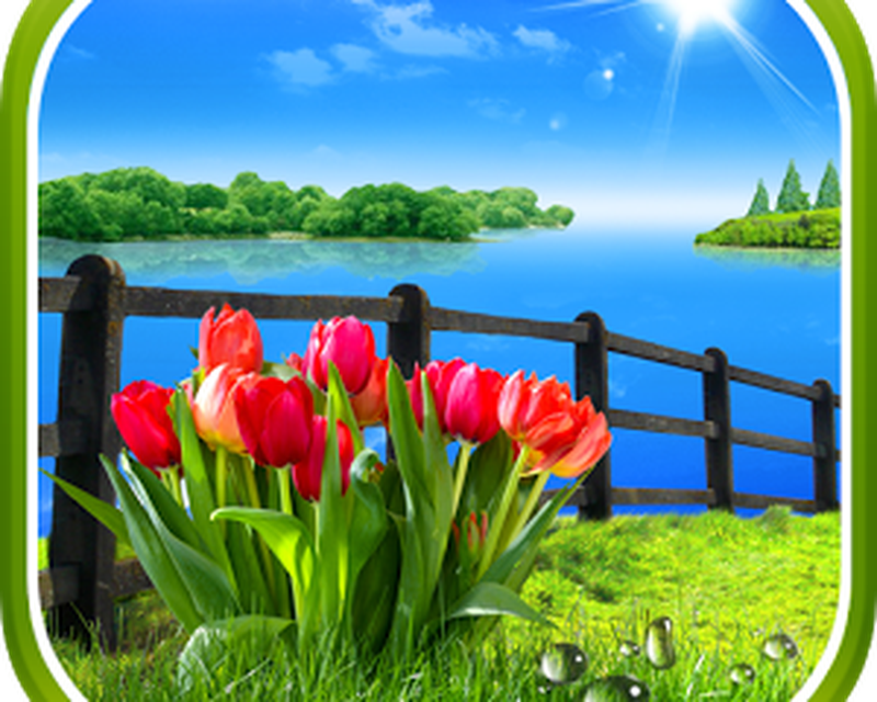 Spring Live Wallpaper - Spring Flowers On A Fence , HD Wallpaper & Backgrounds