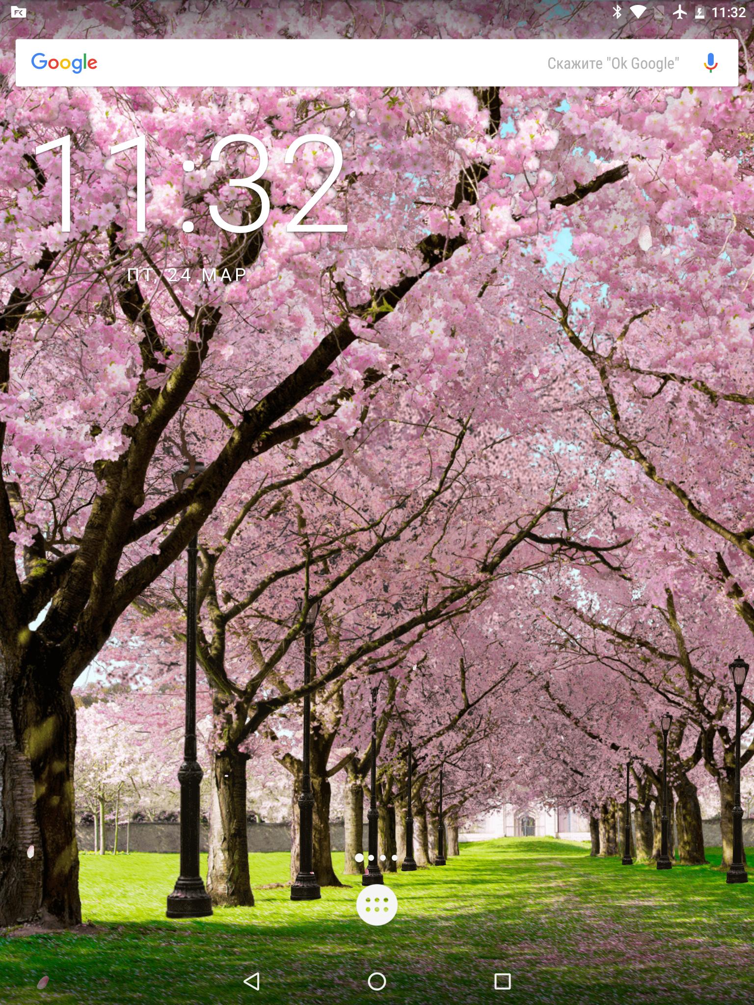 Spring Cherry Blossom Live Wallpaper Free For Android - Cherry Blossom , HD Wallpaper & Backgrounds