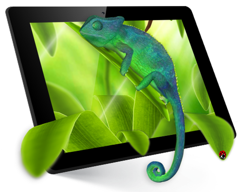 Common Chameleon , HD Wallpaper & Backgrounds