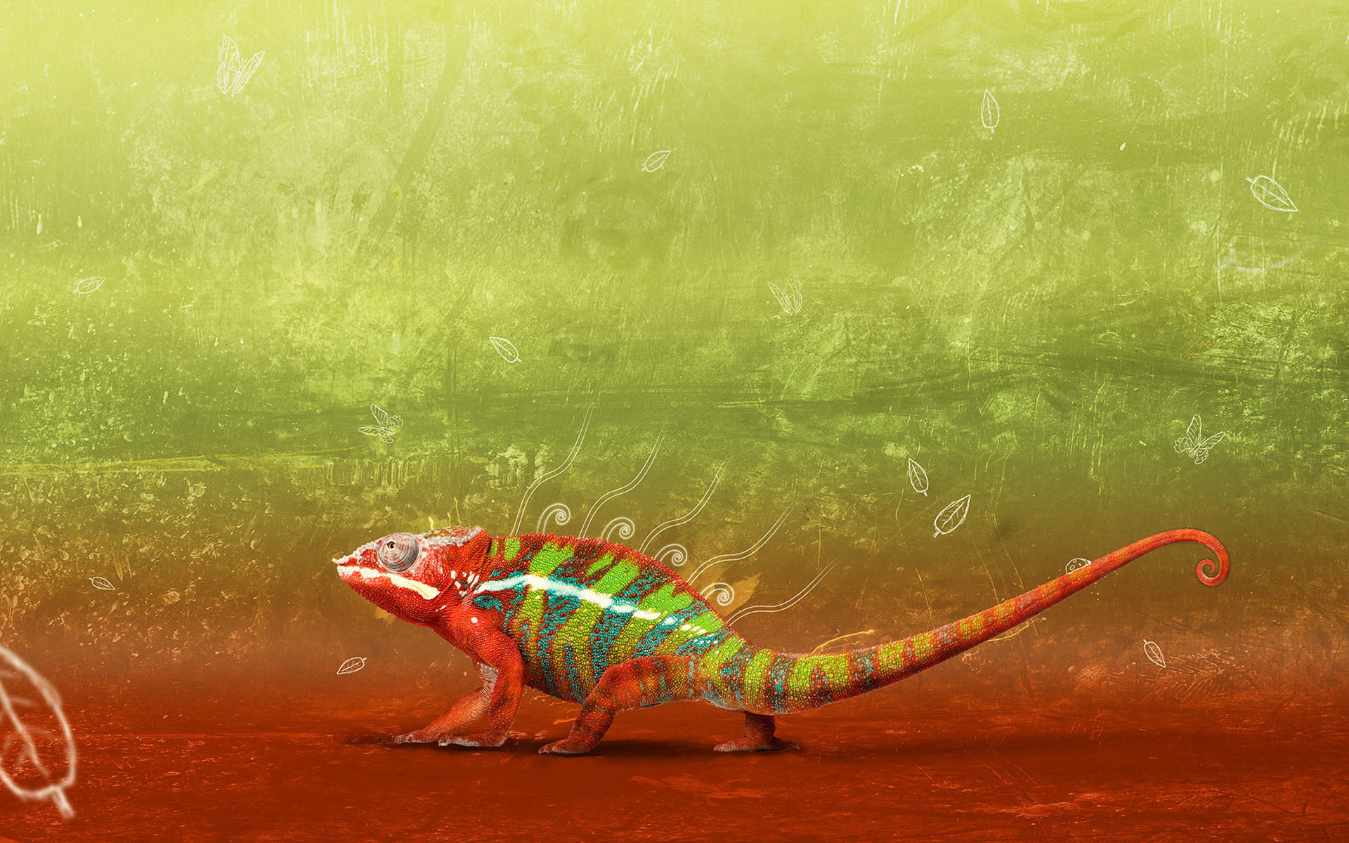 Free Chameleon Wallpaper - Camaleon Hd , HD Wallpaper & Backgrounds
