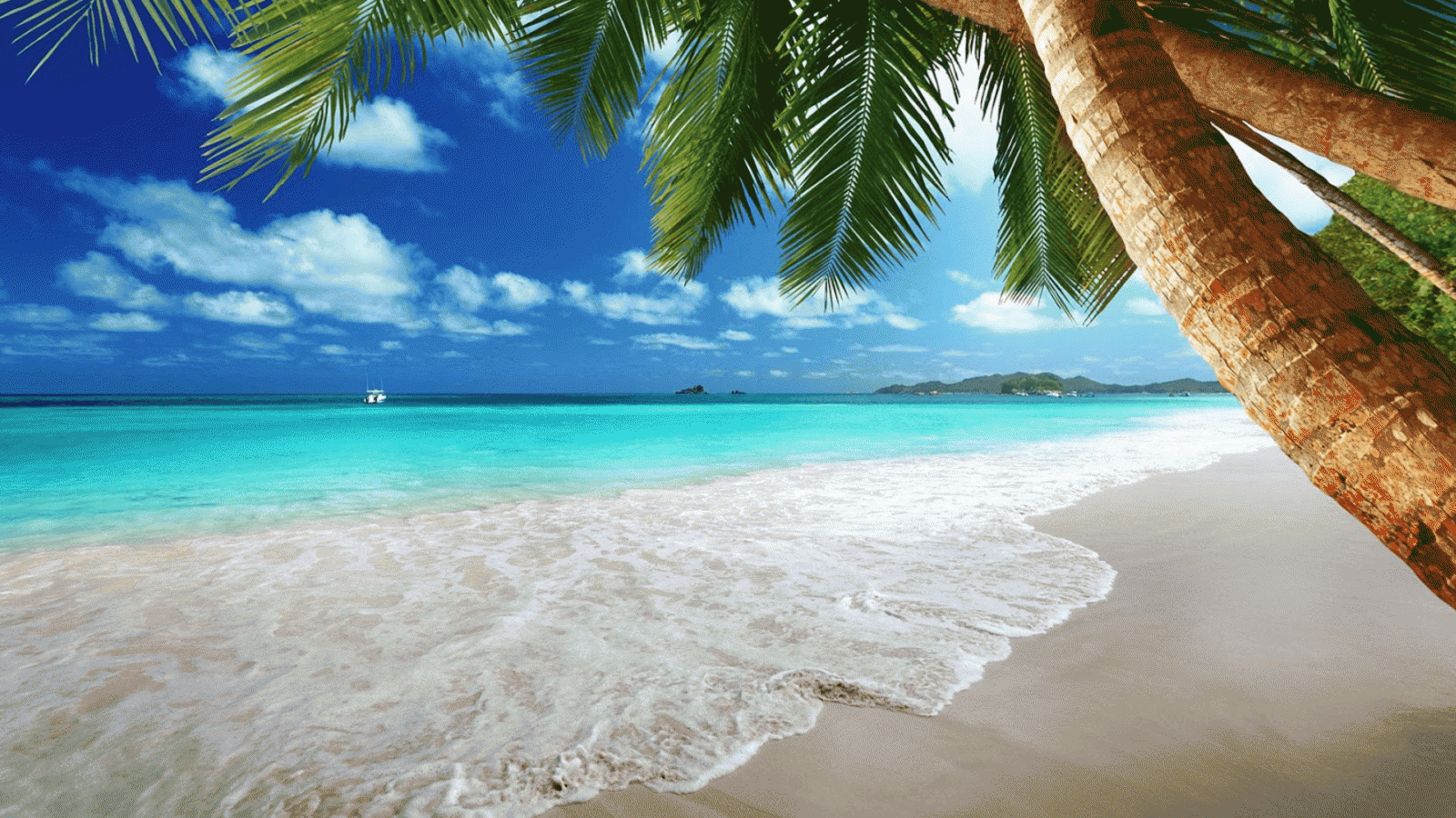 11 Amazing Android Live Wallpapers For Summer - Beaches In Uganda , HD Wallpaper & Backgrounds