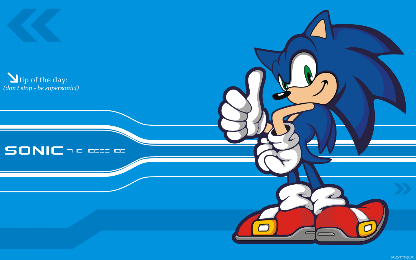 Sonic The Hedgehog Hd Wallpaper - Sonic The Hedgehog , HD Wallpaper & Backgrounds