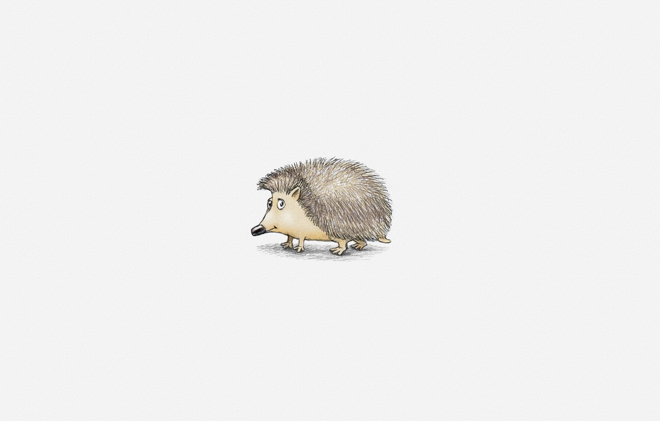 Photo Wallpaper Minimalism, White Background, Hedgehog, - Cartoon Hedgehog , HD Wallpaper & Backgrounds