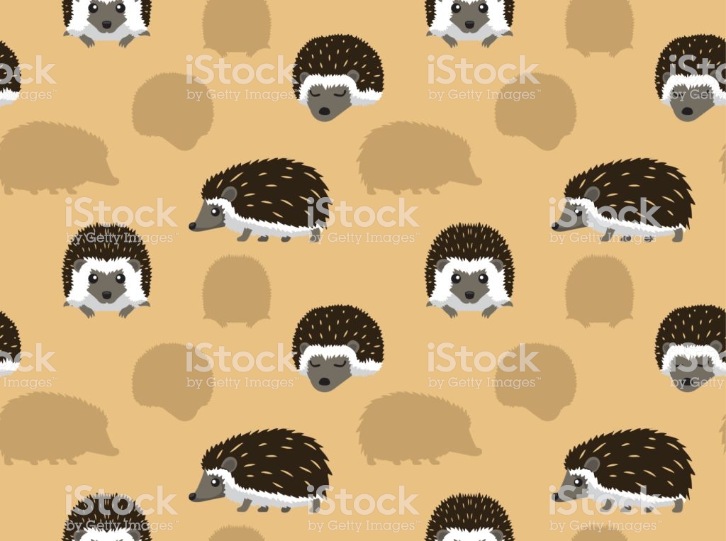 Cute Hedgehog Wallpaper - Hedgehog , HD Wallpaper & Backgrounds