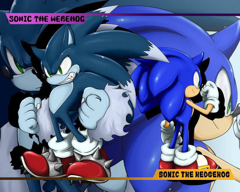 Sonic Hedgehog Wallpaper - Sonic And Sonic The Werehog , HD Wallpaper & Backgrounds