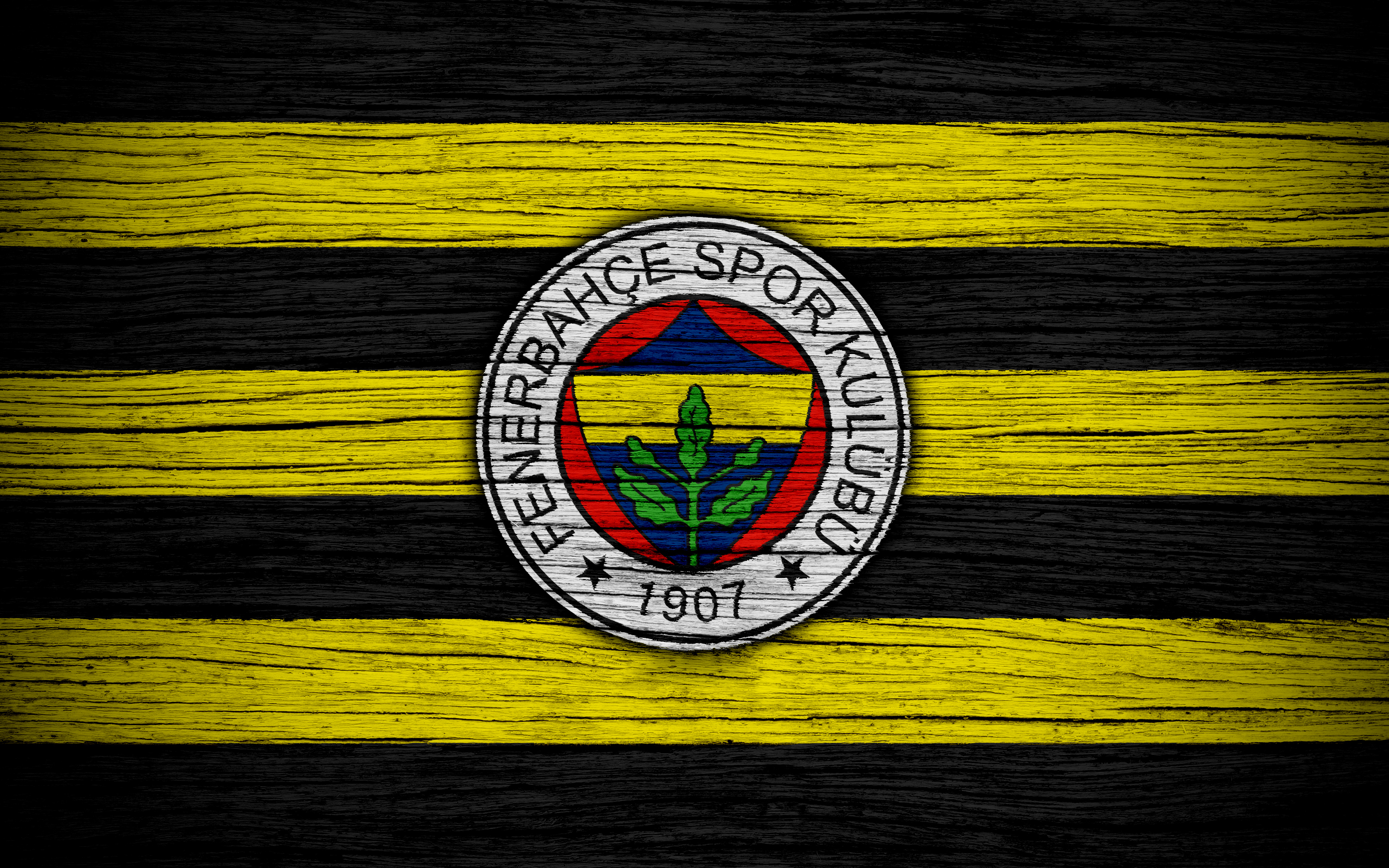 Fenerbahçe Masaüstü Duvar Kağıtları - Fenerbahçe 4k Duvar Kağıtları , HD Wallpaper & Backgrounds