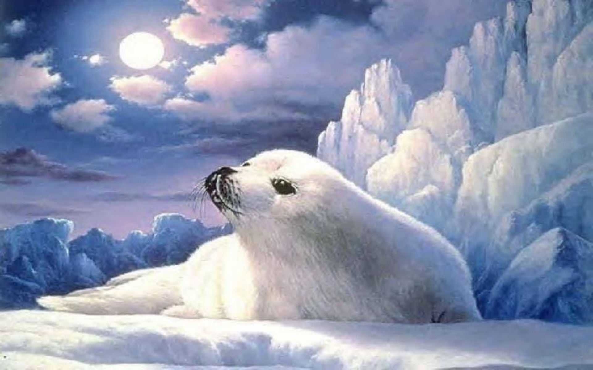 Seal Pc , HD Wallpaper & Backgrounds