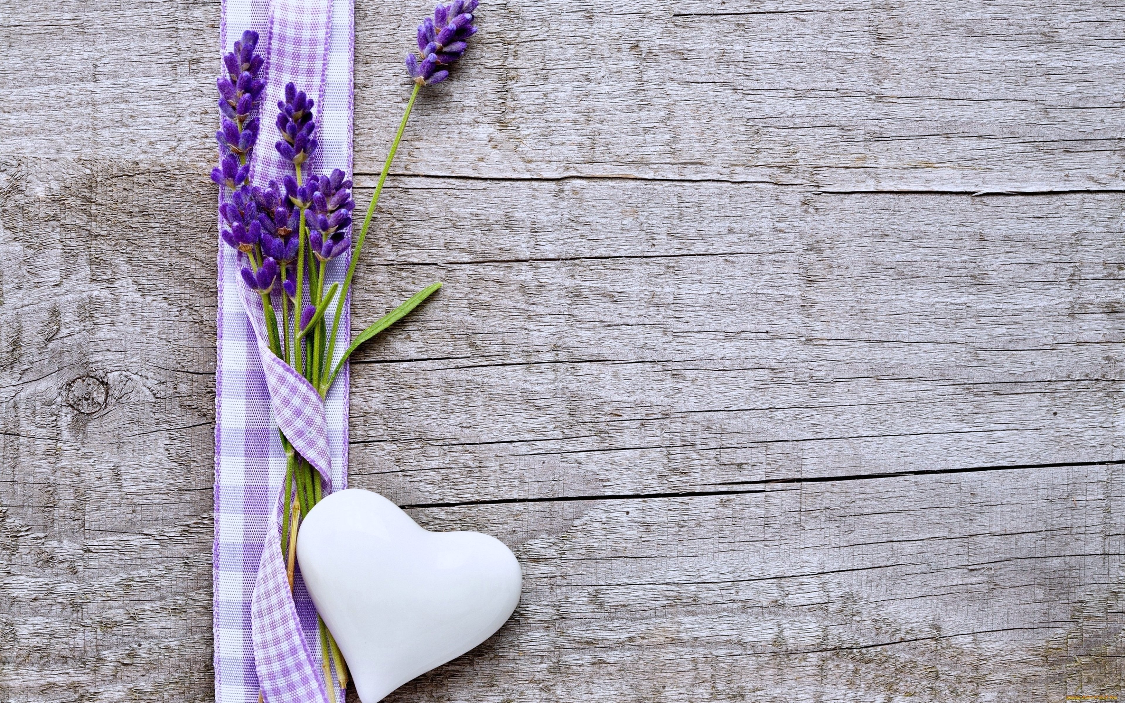 Flowers Hearts Love Emotions Woods Lavender Purple - Lavender Flower Wallpaper For Desktop , HD Wallpaper & Backgrounds