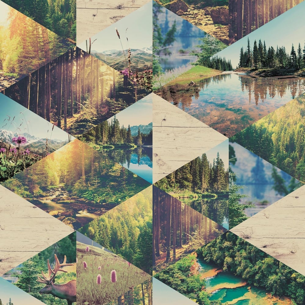 Nature Backgrounds Collage , HD Wallpaper & Backgrounds