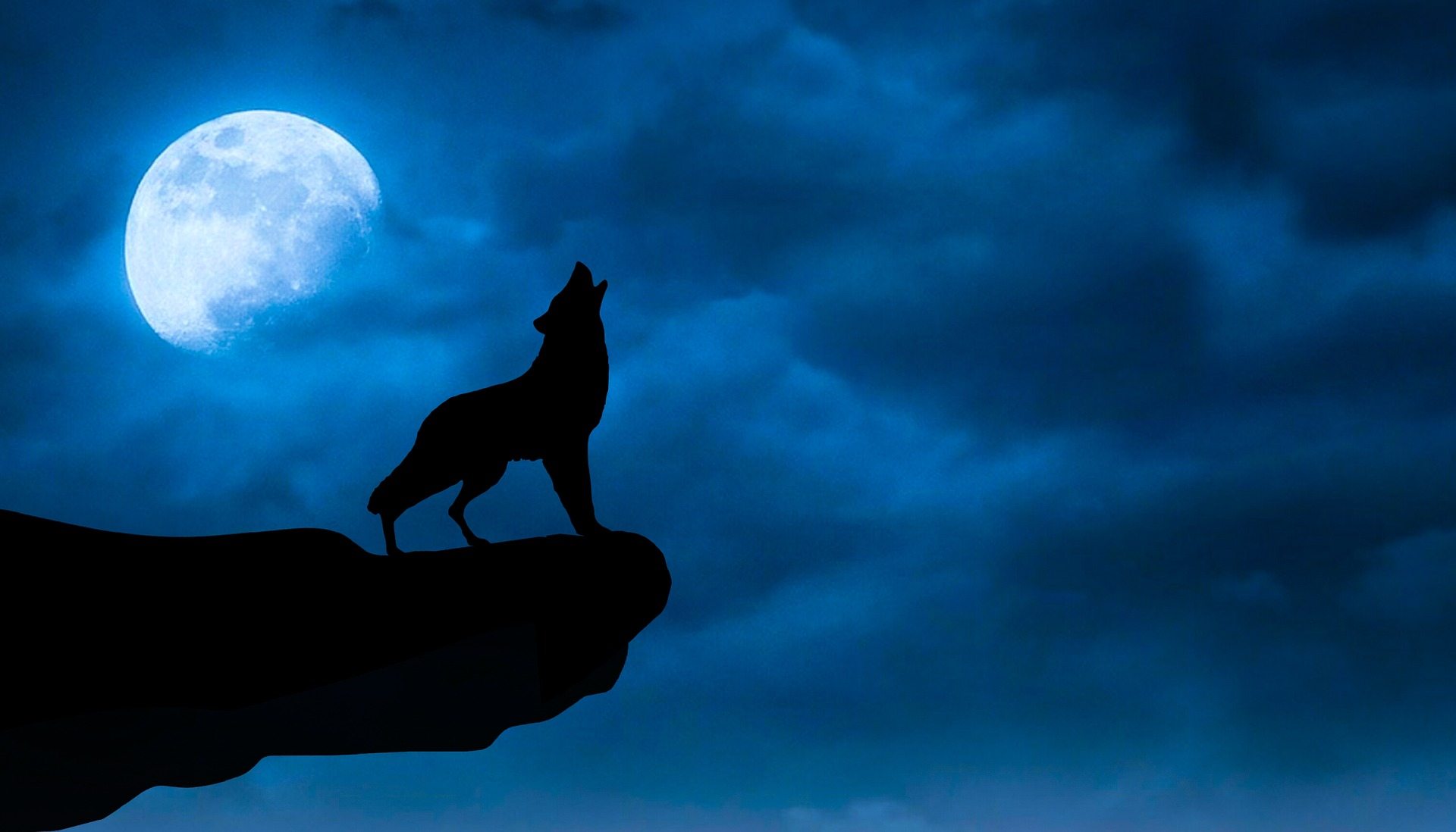 Moon Wallpaper Download - Wolf In Night Sky , HD Wallpaper & Backgrounds
