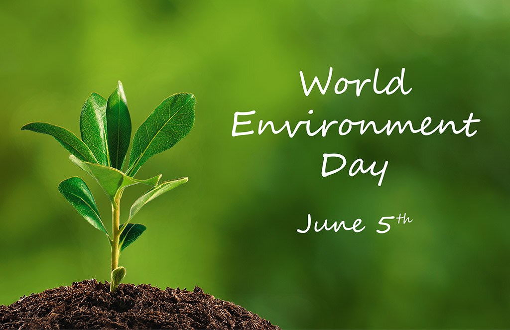 5 June Environment Day , HD Wallpaper & Backgrounds