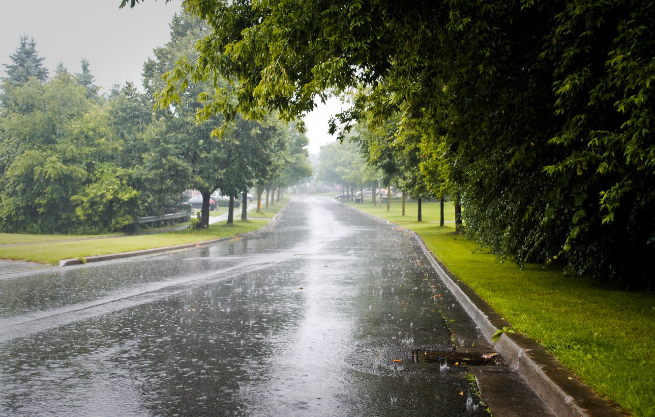Photo Wallpaper City, Road, Trees, Rainy Day - Monsoon Season In Pakistan , HD Wallpaper & Backgrounds