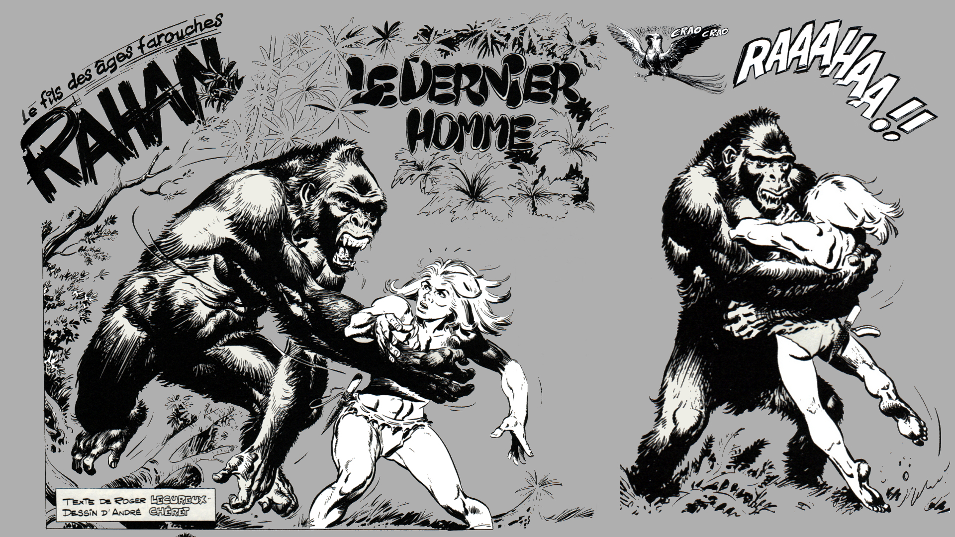 Rahan Fighting A Gorilla - Gorilla Wallpaper Animated , HD Wallpaper & Backgrounds