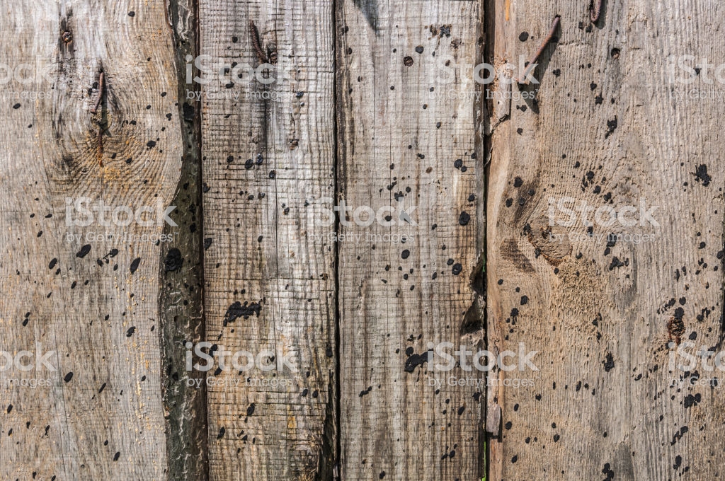 Wooden Brown Noncolored Plank Old Cracked Wall Surface - Wall , HD Wallpaper & Backgrounds