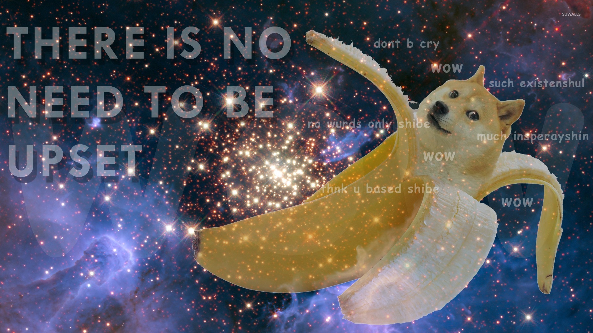 Doge Wallpaper Funny Wallpapers 27500 - Space Banana Doge , HD Wallpaper & Backgrounds