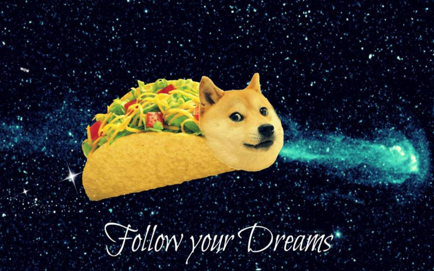 Hd Doge Wallpaper - Doge Taco , HD Wallpaper & Backgrounds