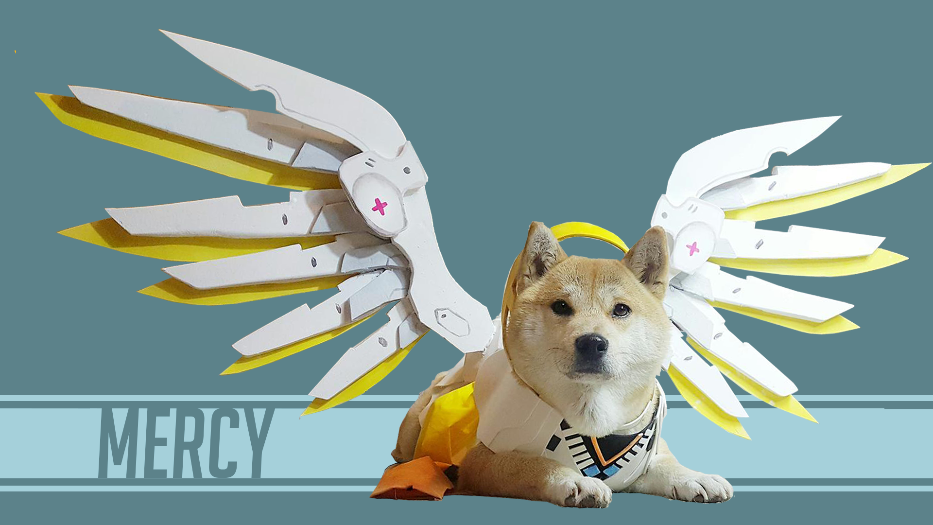 Mercy Doge , HD Wallpaper & Backgrounds