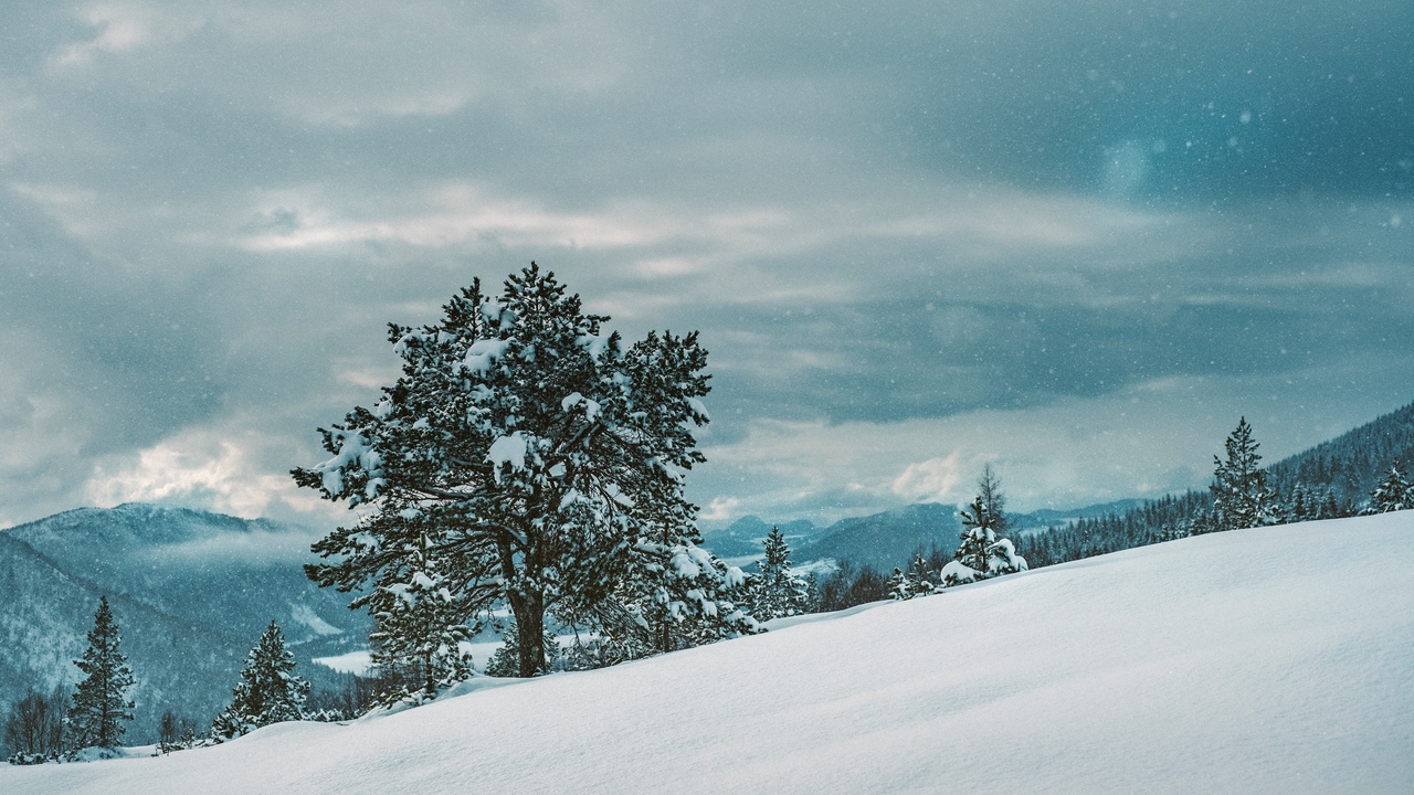 720p Hd Wallpapers - 720p Winter Background , HD Wallpaper & Backgrounds