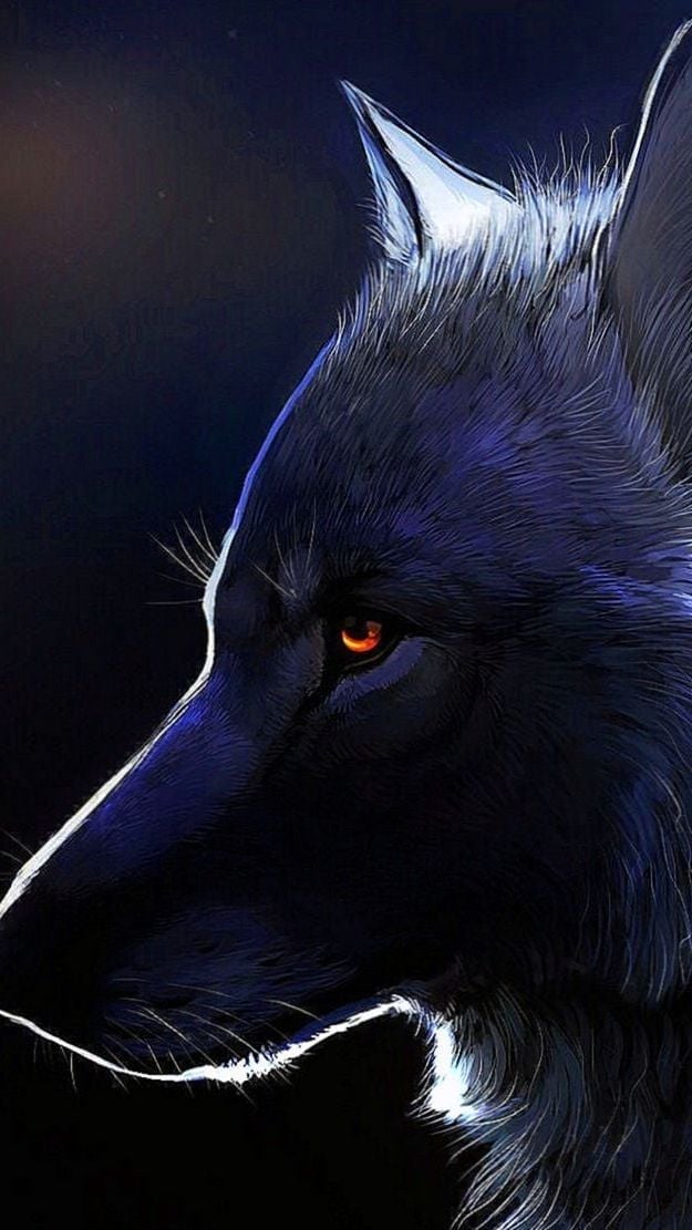 Sick Wolf Wallpapers - Wolf Does Not Concern , HD Wallpaper & Backgrounds