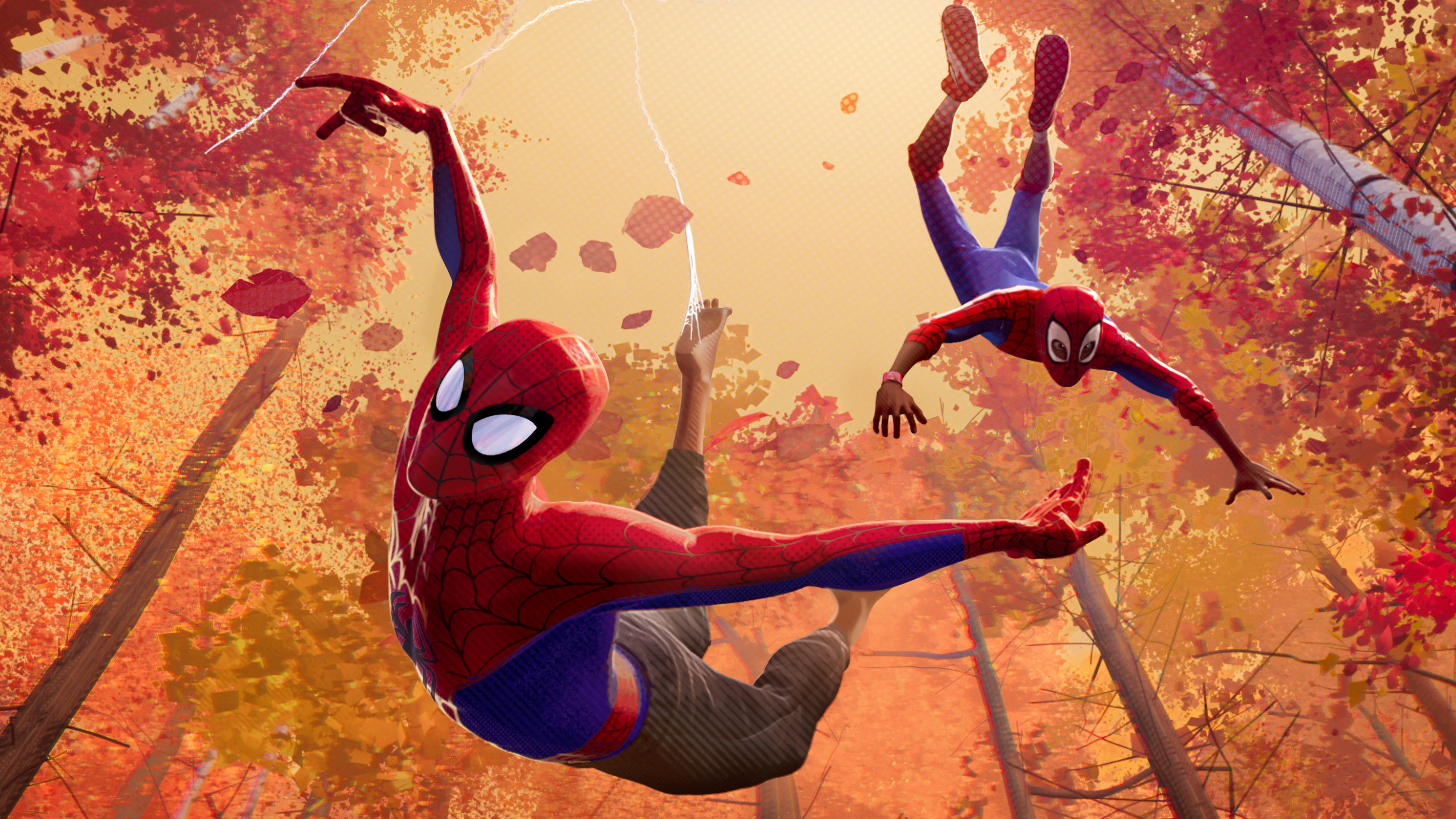 Spider Man Into The Spider Verse , HD Wallpaper & Backgrounds