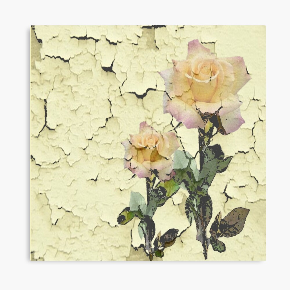 Hybrid Tea Rose , HD Wallpaper & Backgrounds