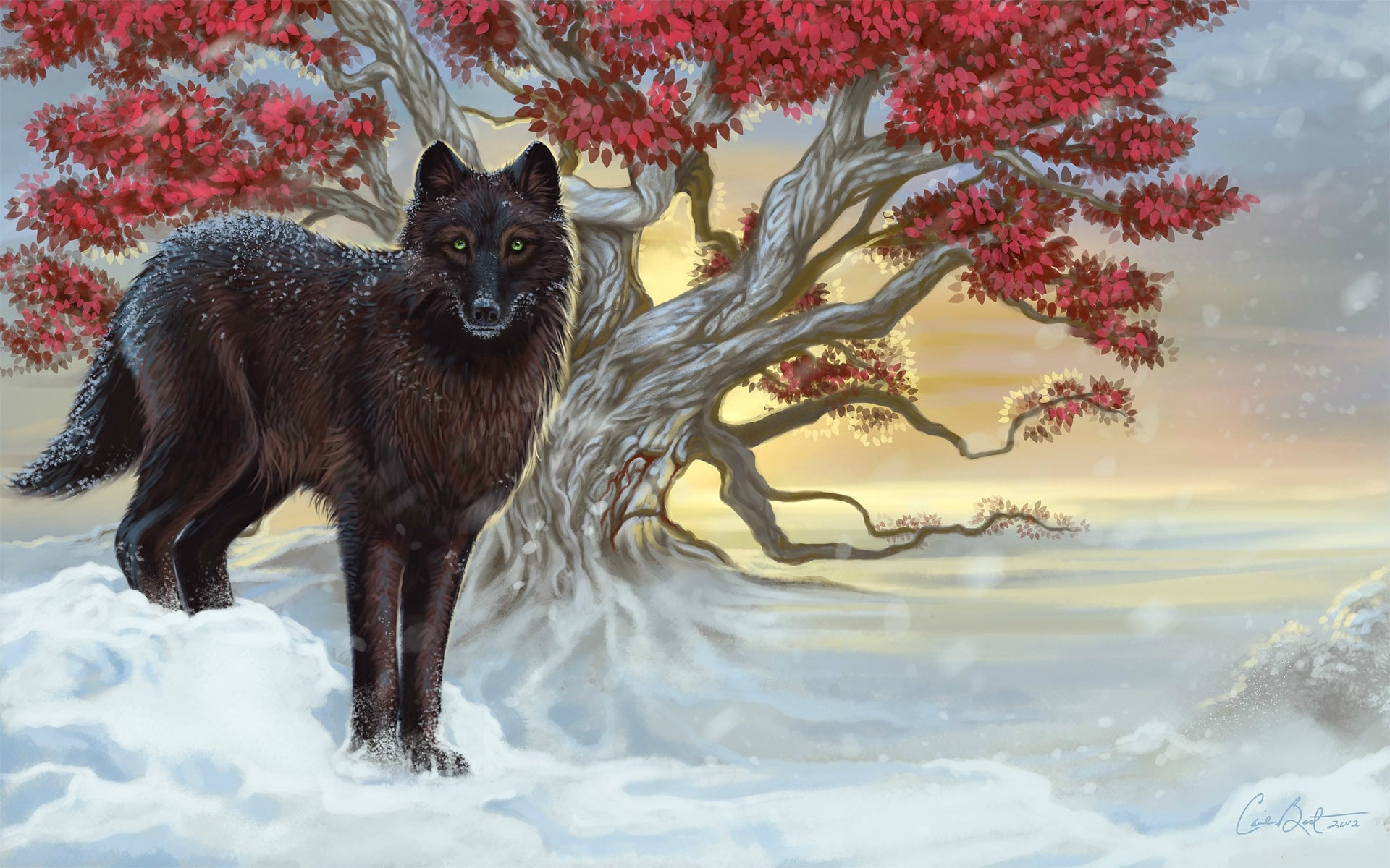 Fantasy Wolf Fantasy Animals Game Of Thrones A Song - Shaggydog Direwolf , HD Wallpaper & Backgrounds