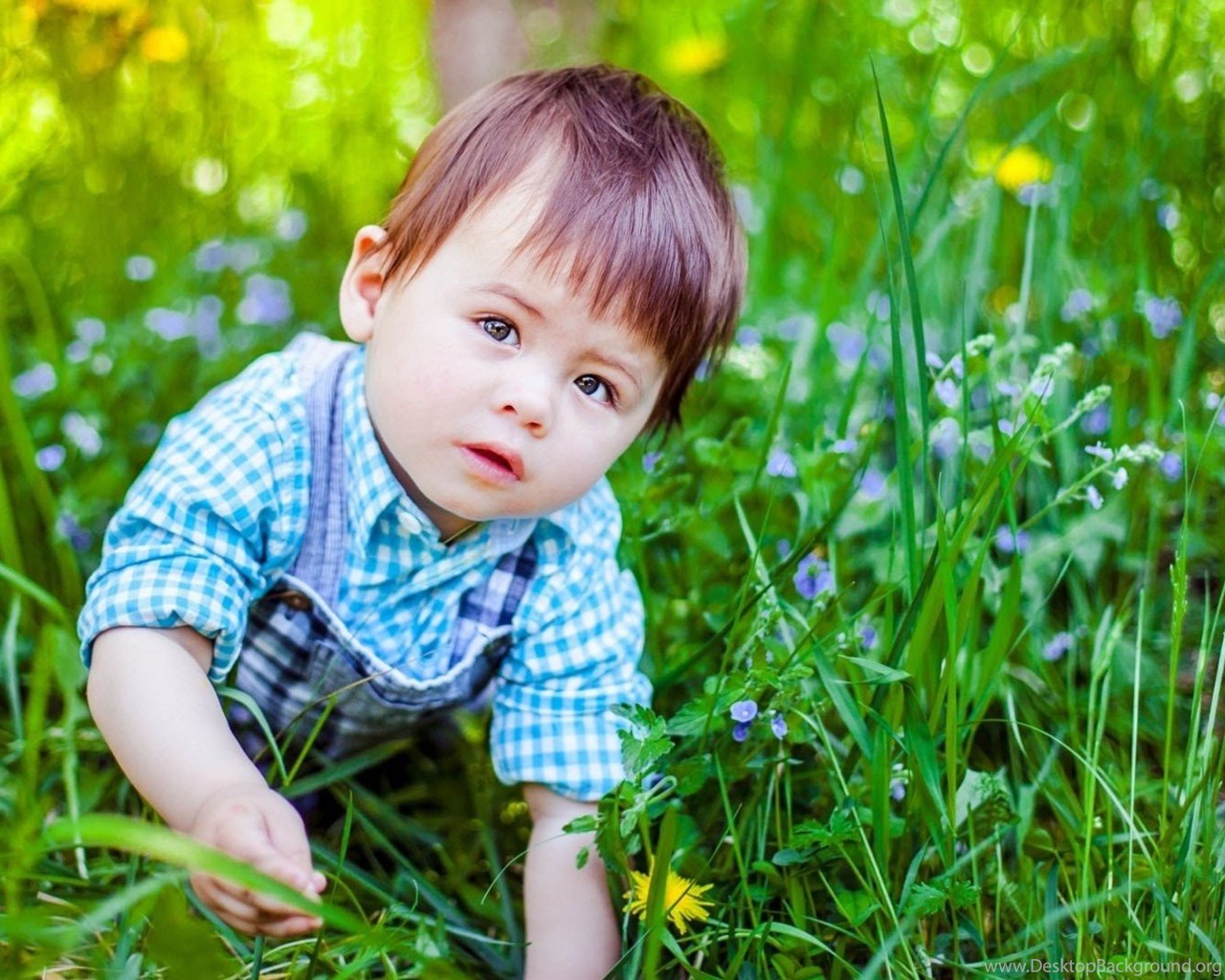 Cute Boy In Grassland Wallpapers Gallsource - Innocent Whatsapp Dp For Boys , HD Wallpaper & Backgrounds