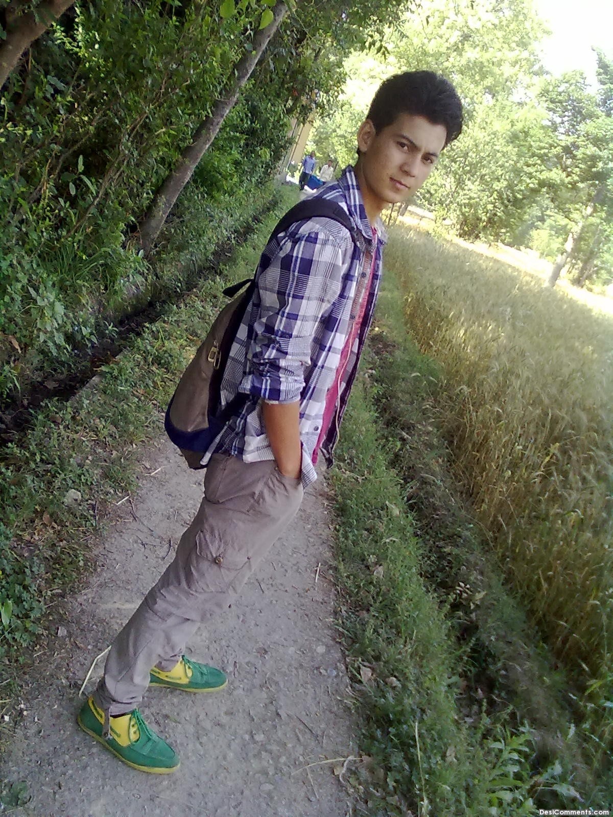 Tree , HD Wallpaper & Backgrounds