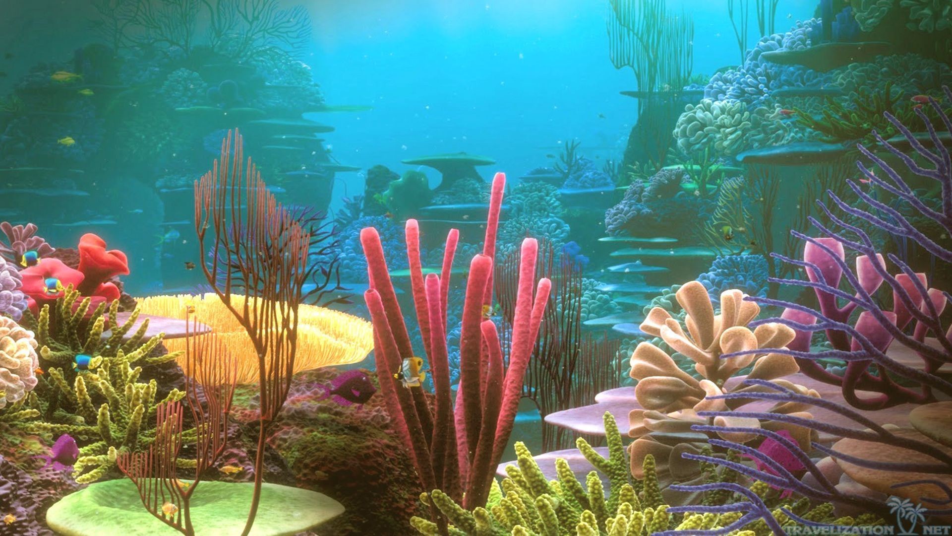 Colorful Coral Reef Desktop, Under Water Wallpaper, - No Man's Sky Exotic Biomes , HD Wallpaper & Backgrounds