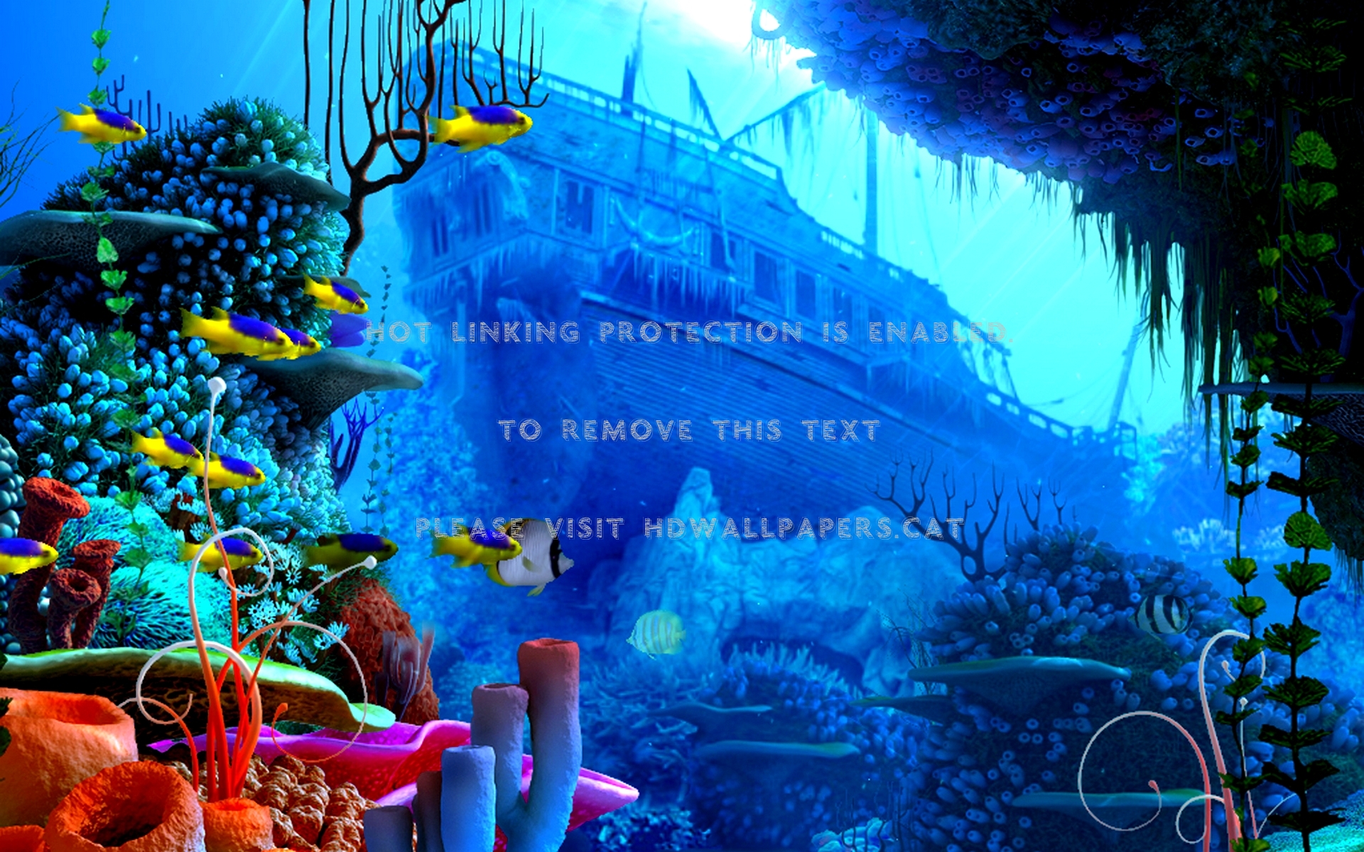 Underwater Beauty Coral Reef Ocean Fish - Beautiful Underwater Cave , HD Wallpaper & Backgrounds