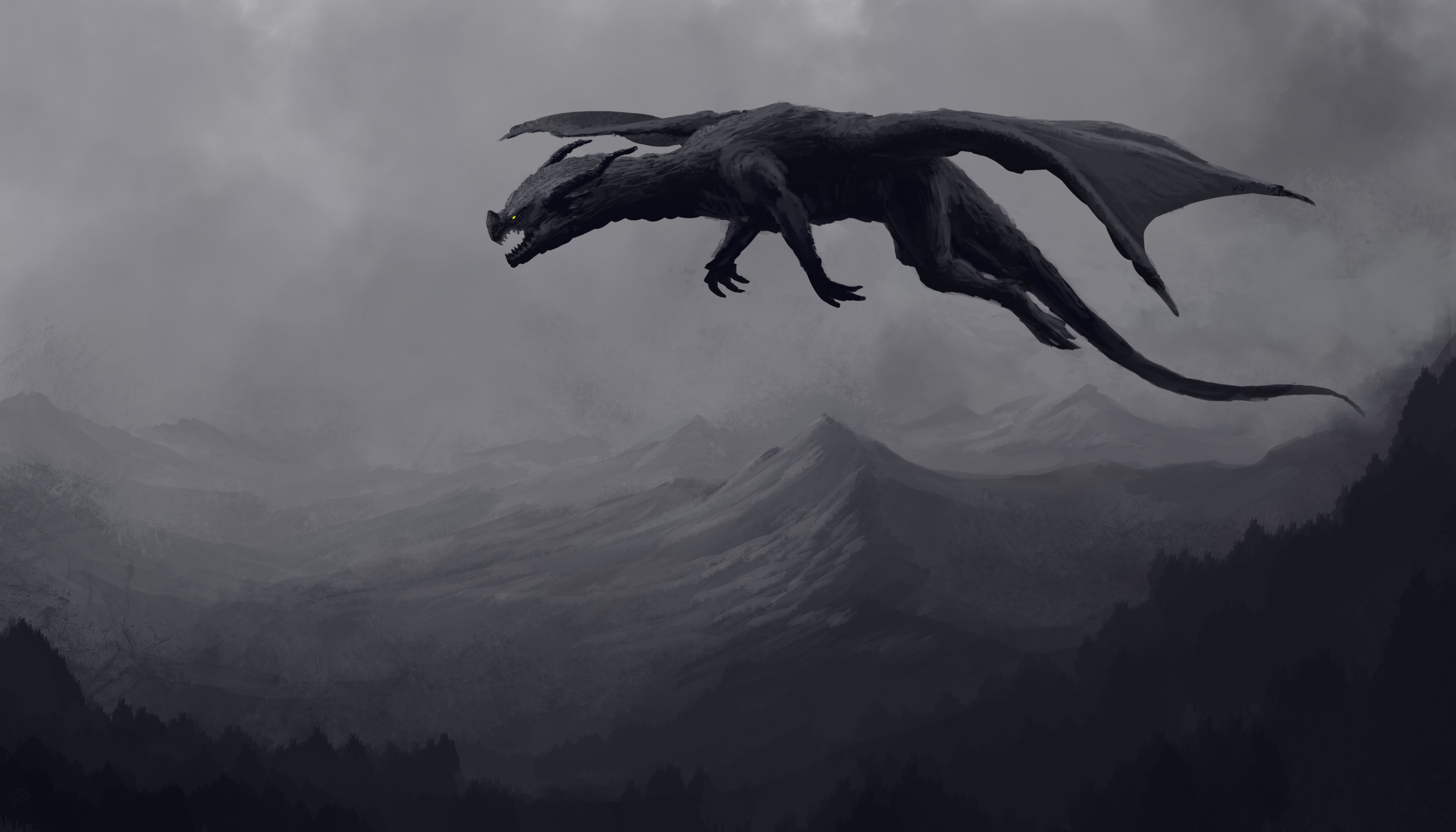 Fantasy Dragon Black And White , HD Wallpaper & Backgrounds