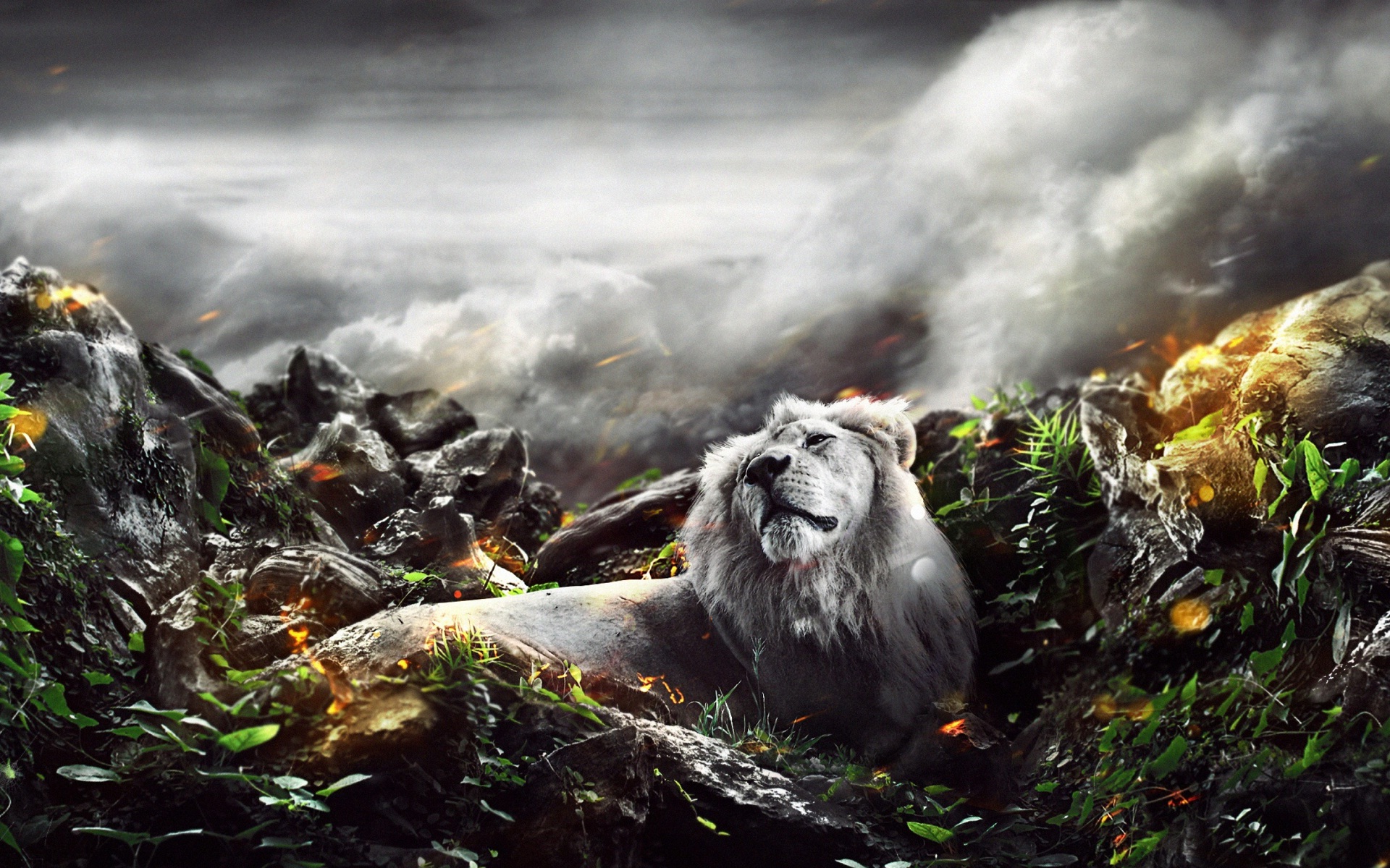 New 3d Wallpaper - Jungle With Lion Background Hd , HD Wallpaper & Backgrounds