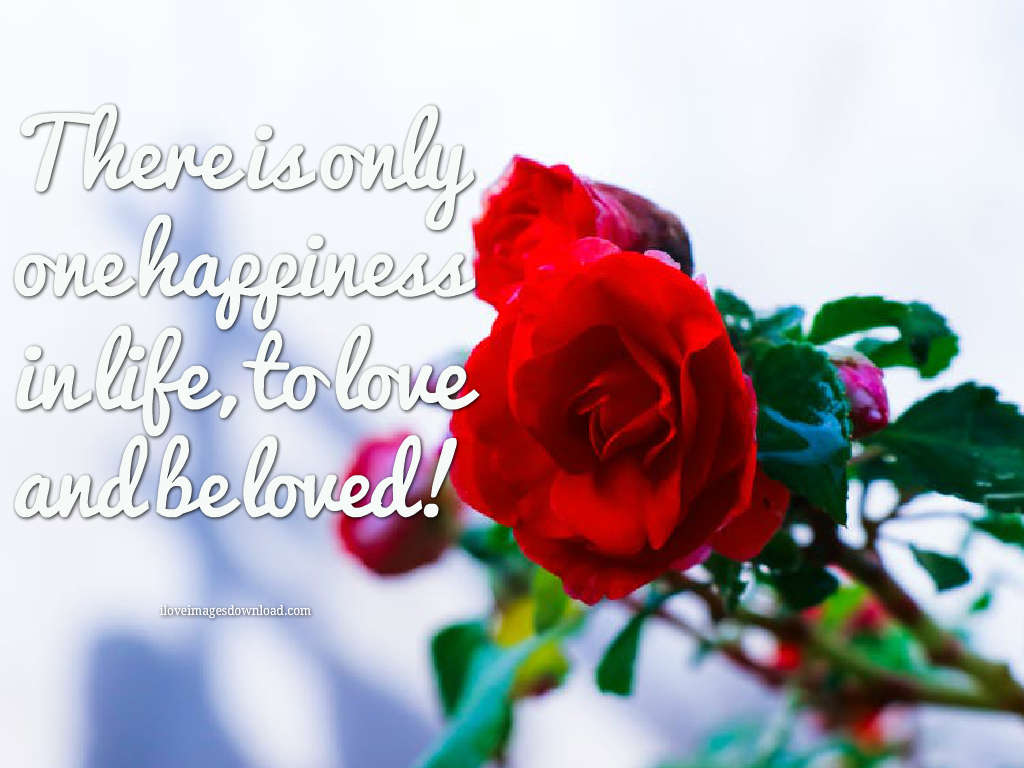 New Wallpaper Download Love - Love Images With Wordings Download , HD Wallpaper & Backgrounds
