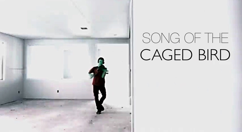 Utilize Album Wallpaper Song Of The Caged Bird - Architecture , HD Wallpaper & Backgrounds