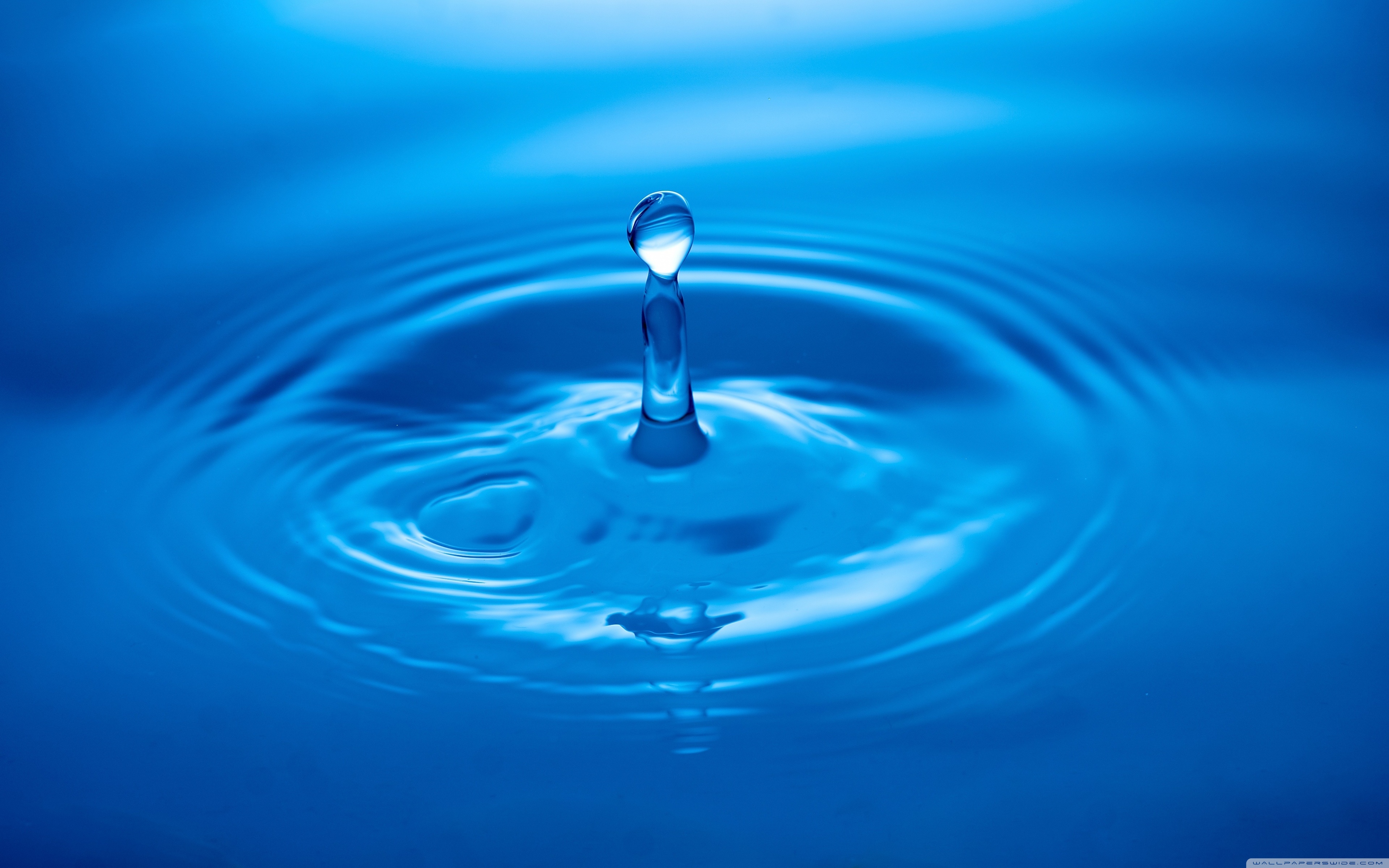 4k Ultra Hd Water Drop , HD Wallpaper & Backgrounds