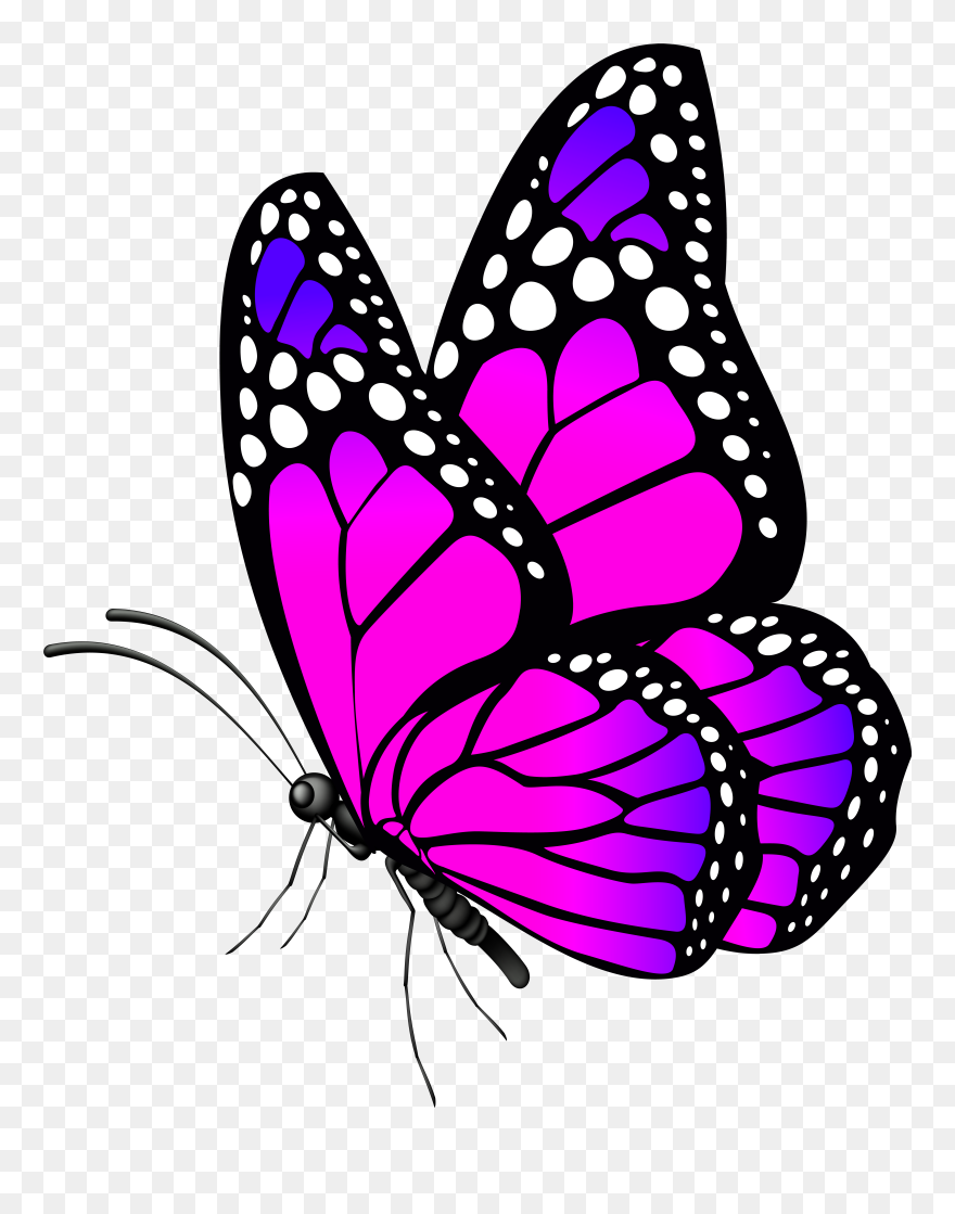 Free Desktop Wallpaper Butterflies Flowers - Clip Art Pink Butterfly , HD Wallpaper & Backgrounds