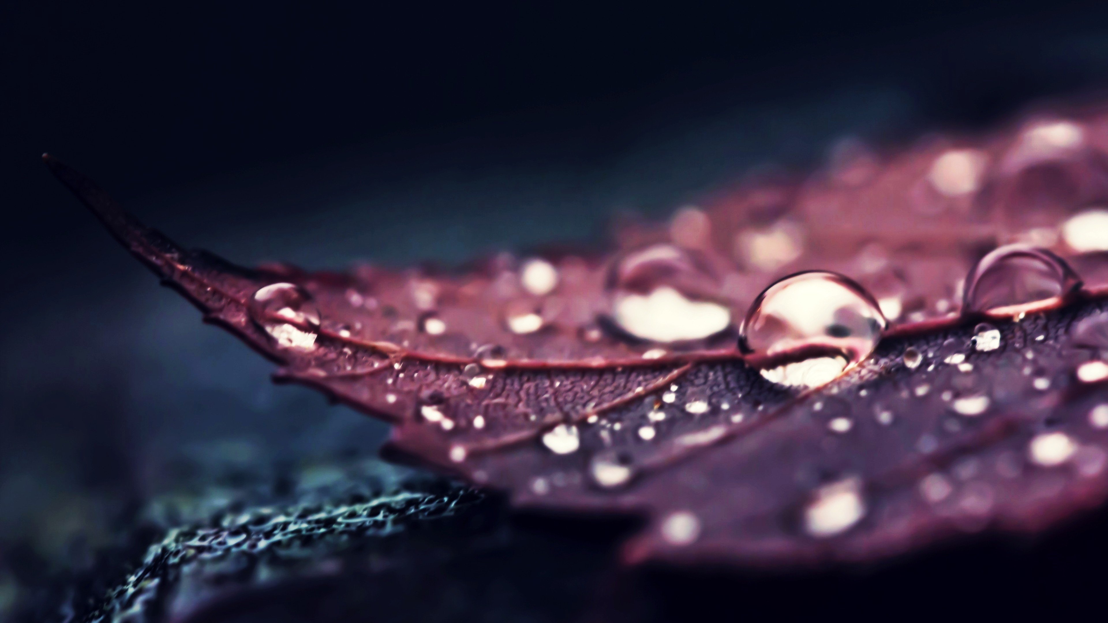 Water Drops Images Hd , HD Wallpaper & Backgrounds