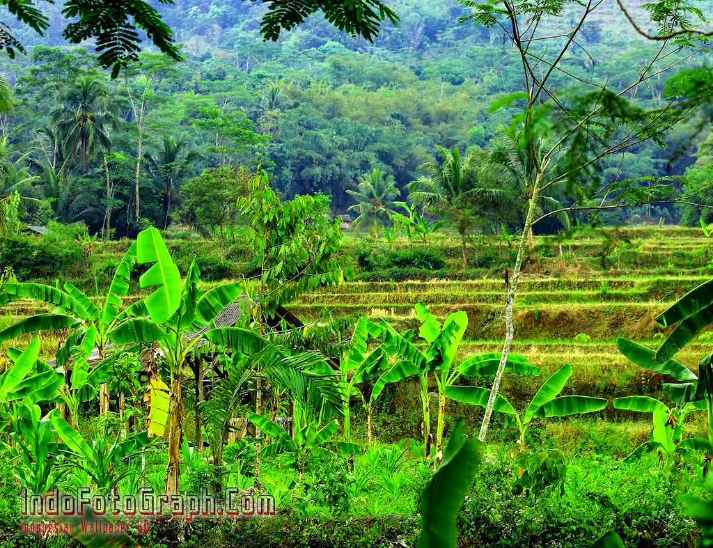Download Gambar Pemandangan Alam Indonesia , HD Wallpaper & Backgrounds